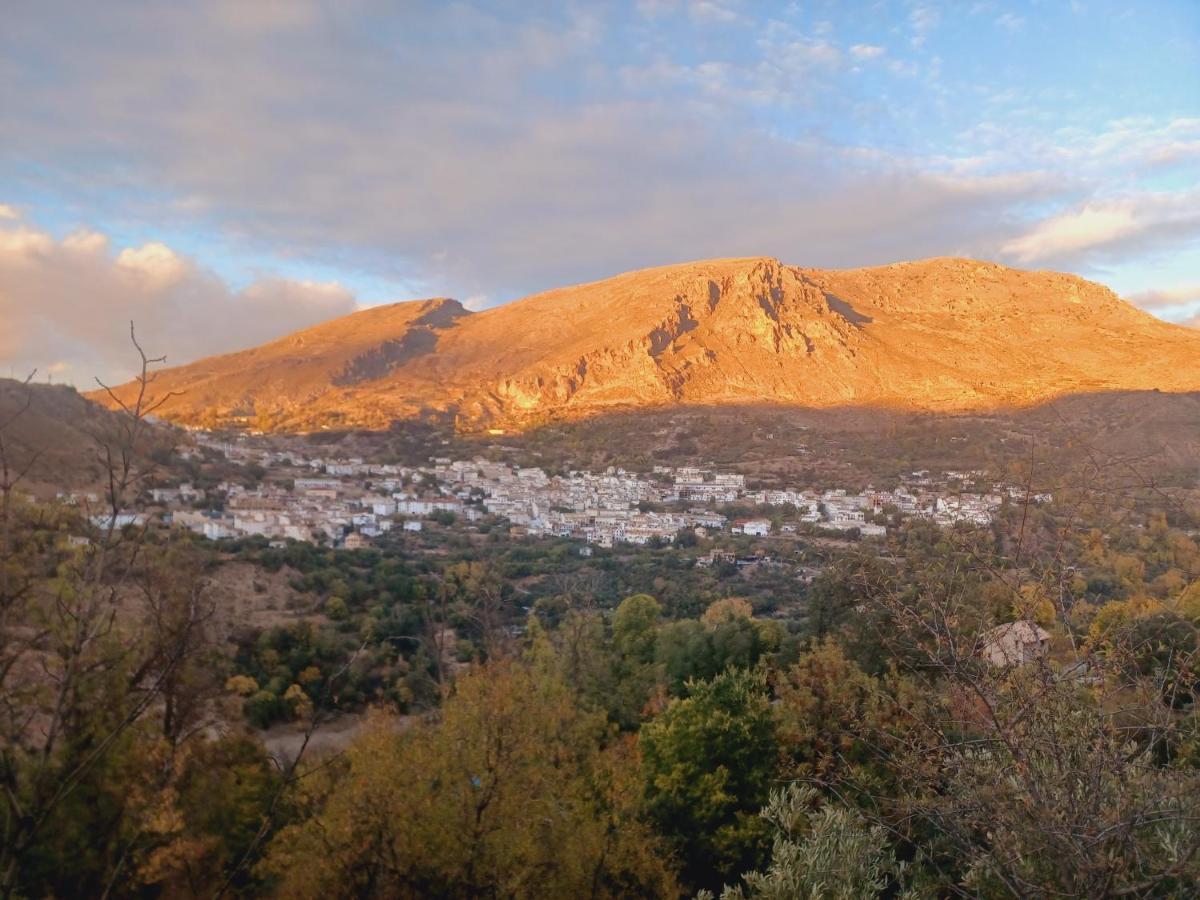 Plaza Nueva Βίλα Σιέρρα Νεβάδα Εξωτερικό φωτογραφία